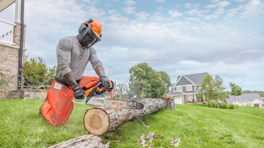 Stihl Chainsaw being used on a down tree